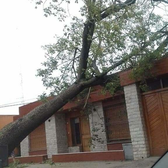 Intenso temporal castigó la región Intenso temporal castigó la región