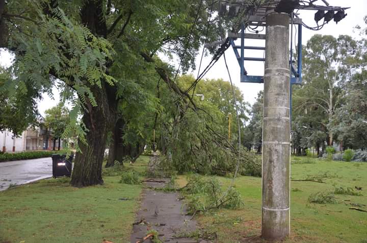 Intenso temporal castigó la región Intenso temporal castigó la región