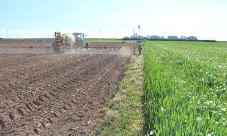 Venado Tuerto: Advierten sobre el uso de agroquímicos