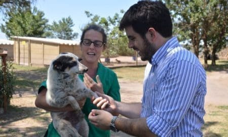 Venado Tuerto: Impulsan la campaña "Pirotecnia Cero"