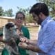 Venado Tuerto: Impulsan la campaña "Pirotecnia Cero"