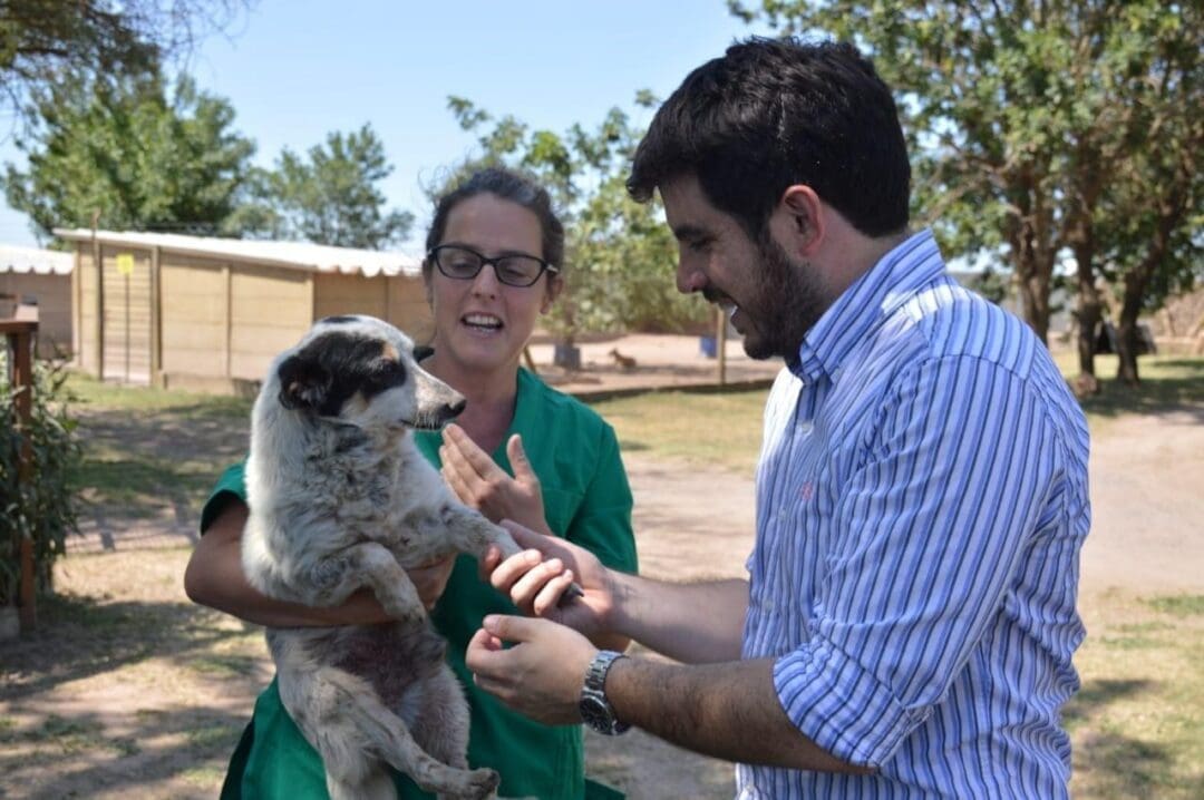 Venado Tuerto: Impulsan la campaña "Pirotecnia Cero"