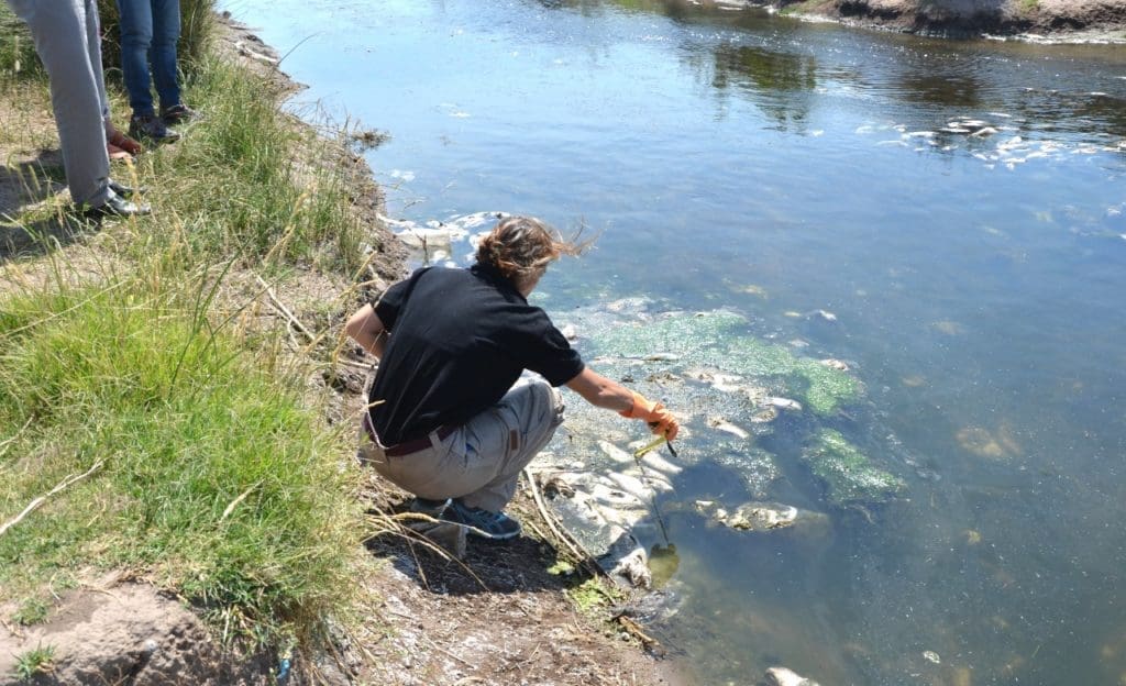 Villa Cañás: Funcionarios del Ministerio de Ambiente evaluaron los peces muertos