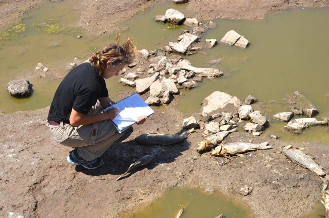 Villa Cañás: Funcionarios del Ministerio de Ambiente evaluaron los peces muertos