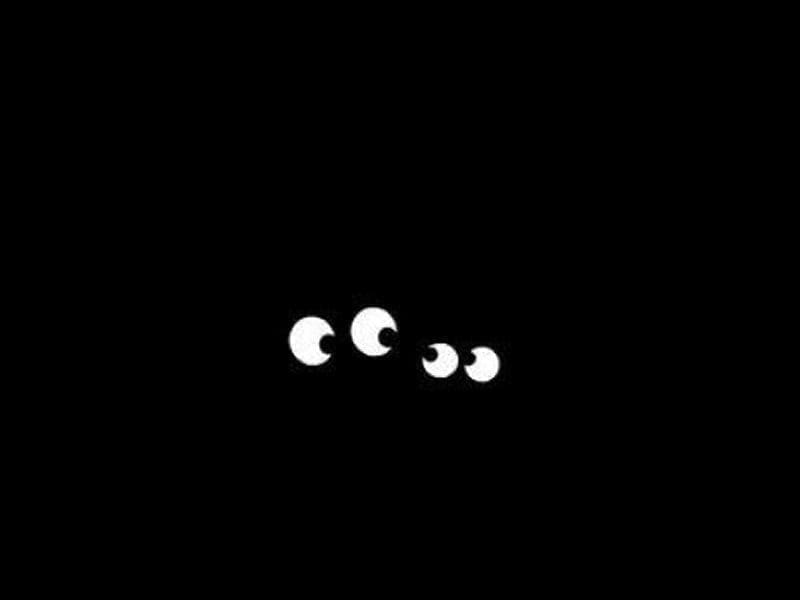 Insólito: Un gato dejó sin luz a 14 localidades del sur santafesino