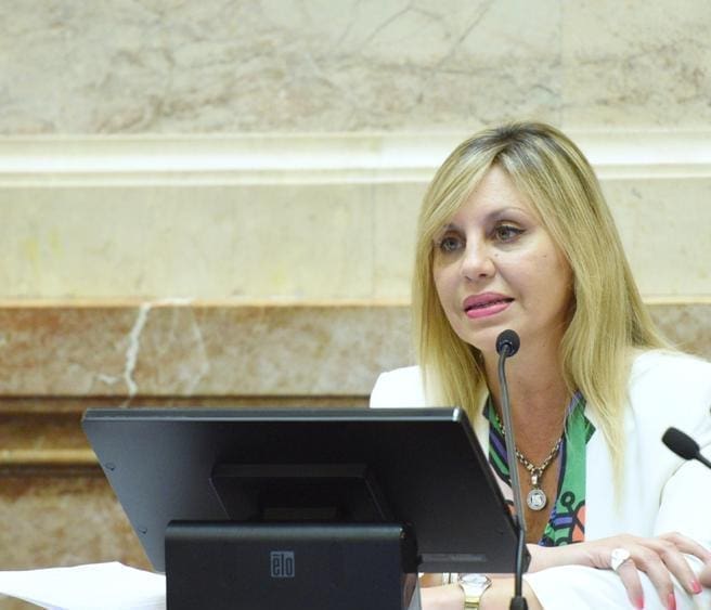Sacnun propone reducir en un 30% las boletas de luz para los pequeños y medianos comercios