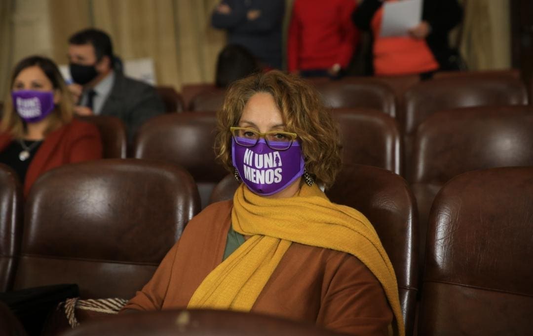 Violencia de Género: Impulsan la creación de un “Espacio Multipuertas” para asistir a las mujeres en un único lugar