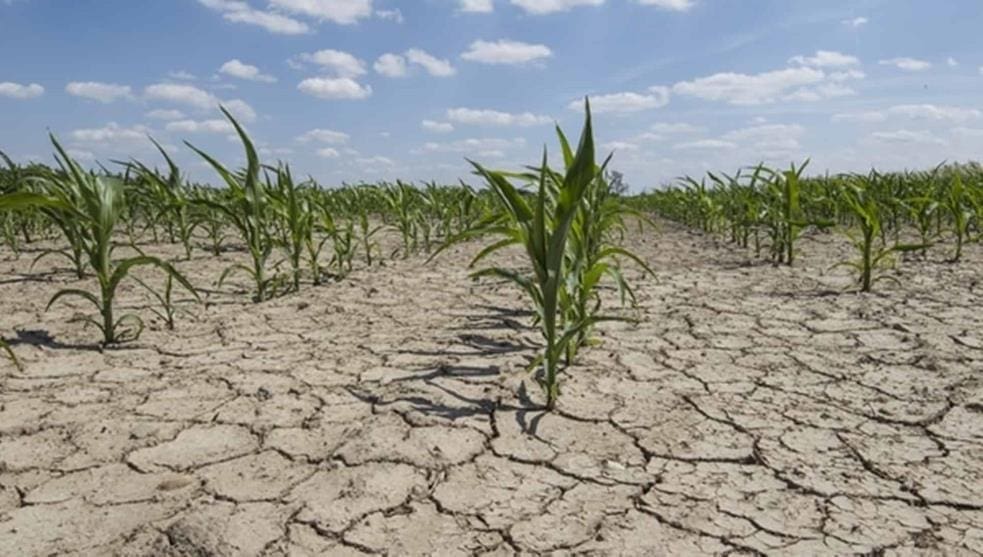 El senador Enrico impulsa la primera legislación provincial sobre cambio climático El senador Enrico impulsa la primera legislación provincial sobre cambio climático