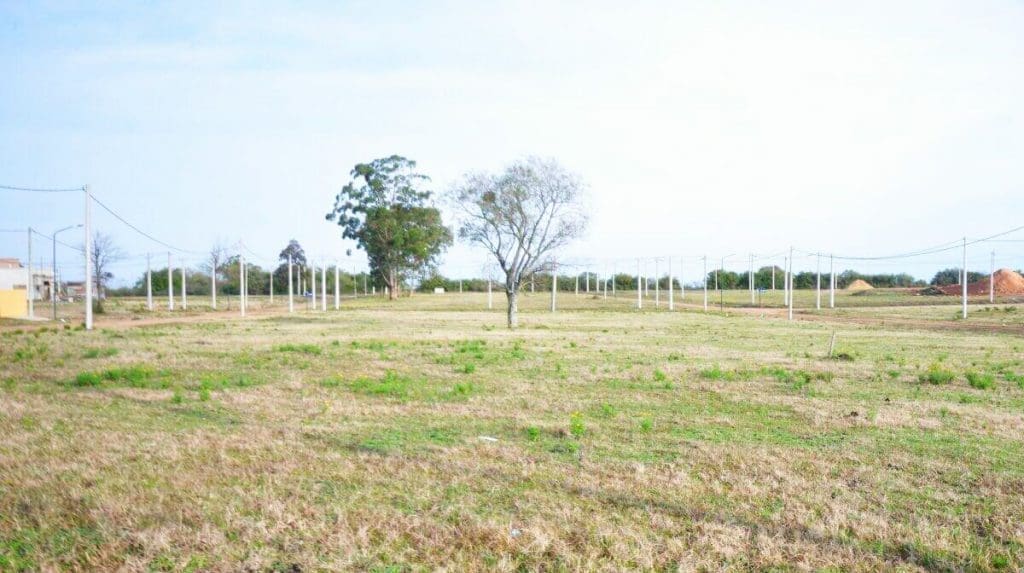 Venado Tuerto: Chiarella anunció "Nuestro Terreno", el programa de venta de terrenos municipales Venado Tuerto: Chiarella anunció "Nuestro Terreno", el programa de venta de terrenos municipales