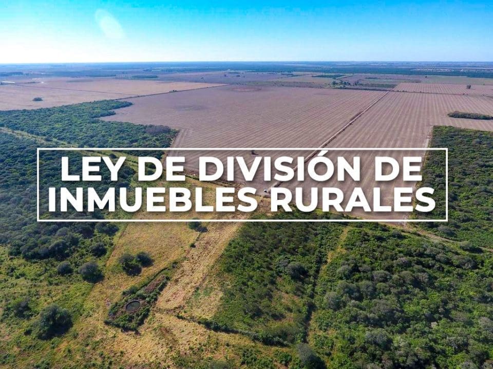 Enrico informó que el Senado aprobó una Ley que permite subdividir inmuebles rurales por 5 años