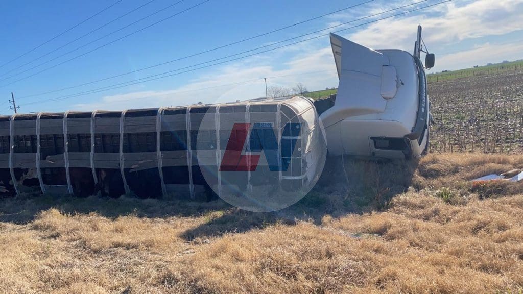 Amenabar: Accidente fatal, dos mujeres murieron en la Ruta 33 Amenabar: Accidente fatal, dos mujeres murieron en la Ruta 33