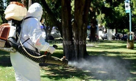 Venado Tuerto: El municipio inicia la campaña de control de mosquitos y vector del dengue