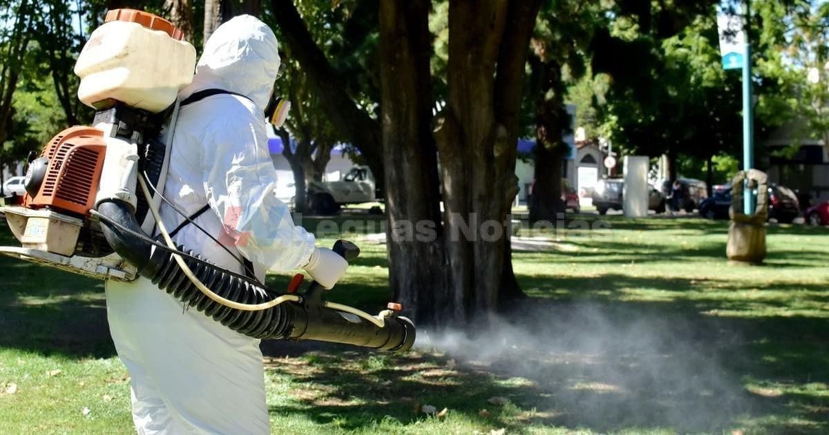 Venado Tuerto: El municipio inicia la campaña de control de mosquitos y vector del dengue