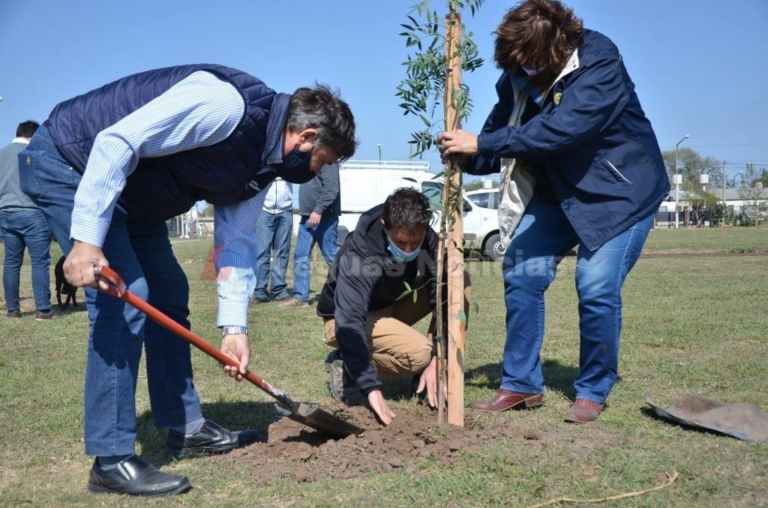 Venado Tuerto: El gobierno municipal y el Rotary Club plantaron cien árboles en Plaza "Papa Francisco"