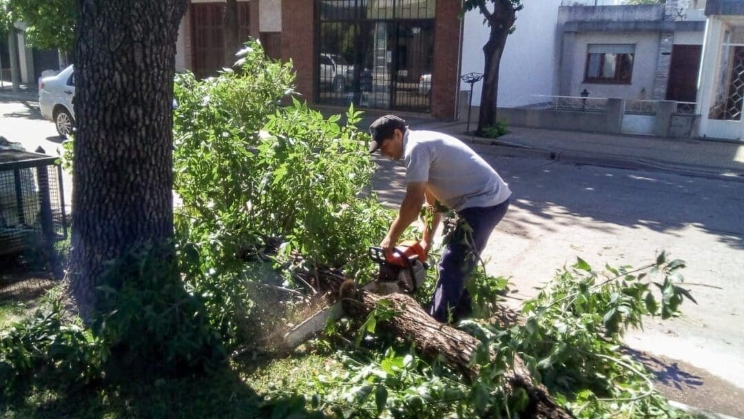 Venado Tuerto: Las cuadrillas del gobierno municipal sigue trabajando en los barrios tras la fuerte tormenta