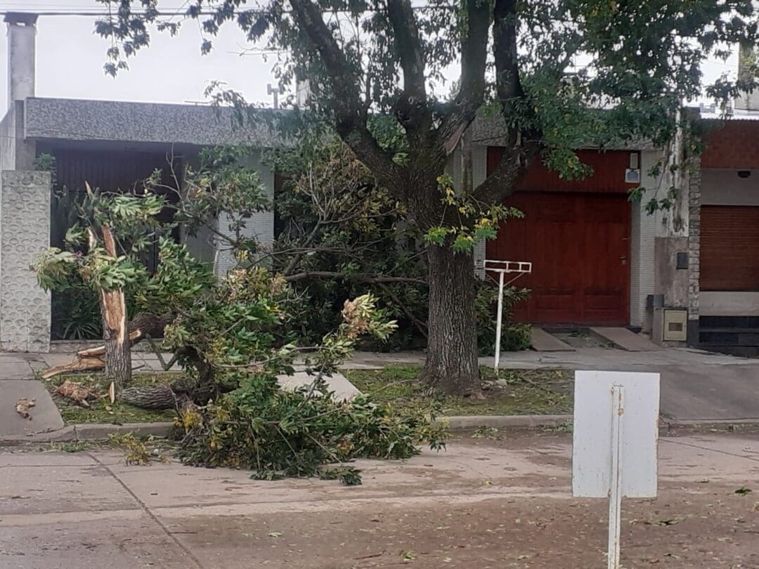 Villa Cañás: Fuertes vientos provocaron caída de árboles colapsando el servicio eléctrico Villa Cañás: Fuertes vientos provocaron caída de árboles colapsando el servicio eléctrico