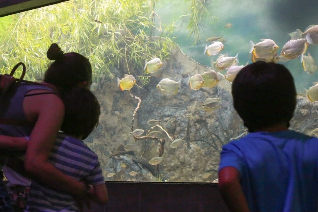 Turismo: Balance exitoso del fin de semana largo en la provincia