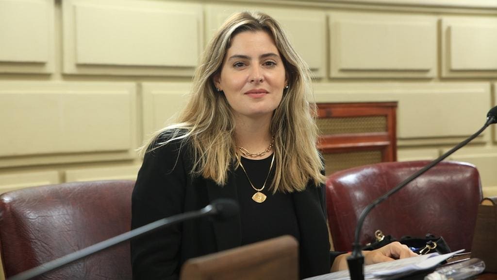 Cattalini: "El nombramiento de Bernhardt en el Servicio Penitenciario es una muestra más de la improvisación de Perotti en materia de seguridad"