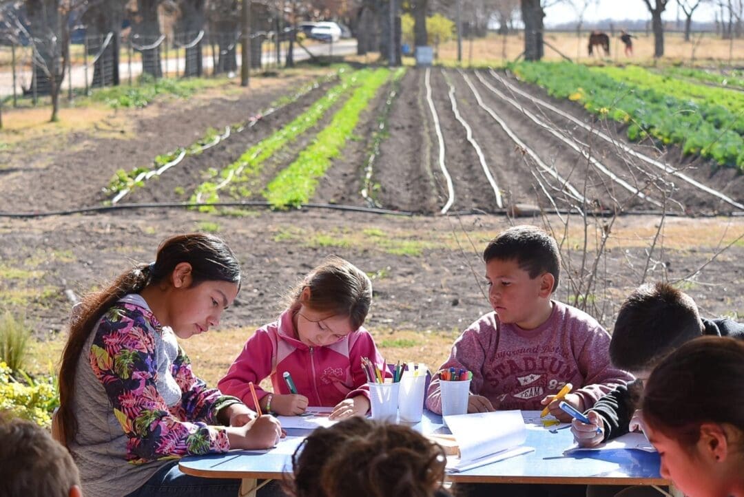 Con inversión y capacitación, María Teresa está a un paso de autoabastecerse se verduras Con inversión y capacitación, María Teresa está a un paso de autoabastecerse se verduras