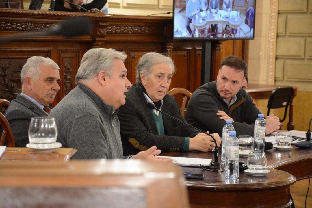 Audiencia en el senado santafesino por la reforma del código procesal penal juvenil