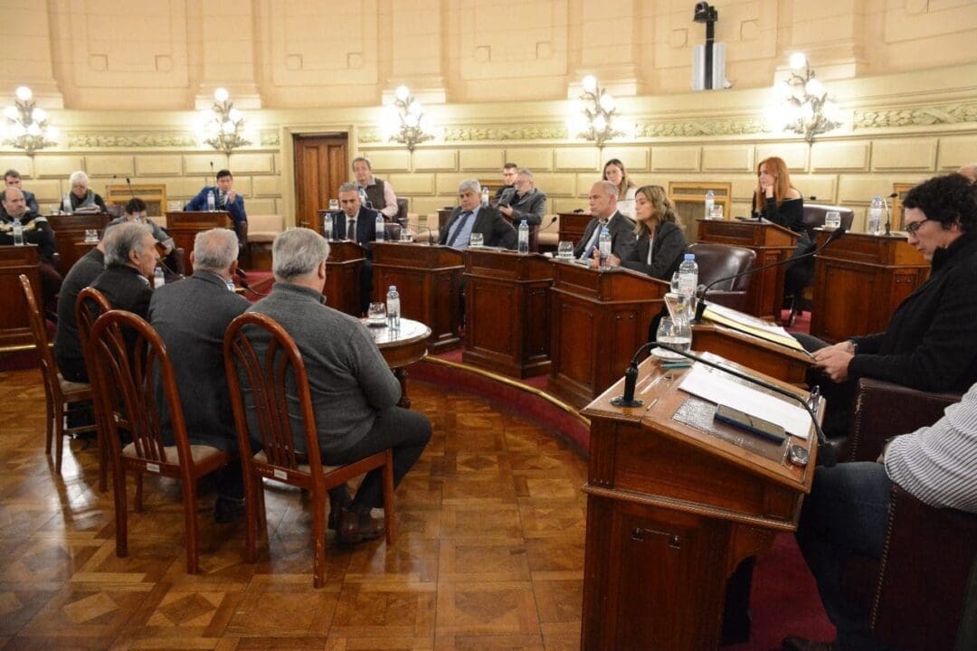 Audiencia en el senado santafesino por la reforma del código procesal penal juvenil Audiencia en el senado santafesino por la reforma del código procesal penal juvenil