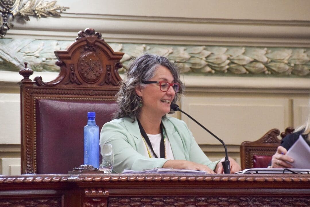 Rosana Bellatti realizó una innovadora jornada de Diputados por un Día