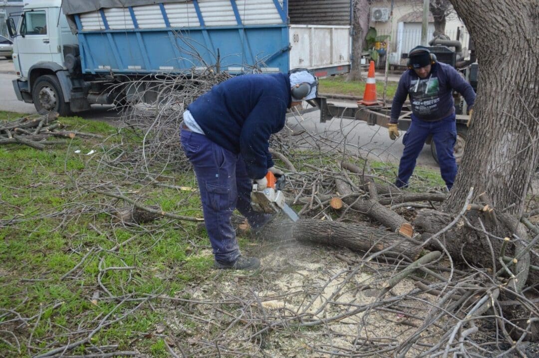 Venado Tuerto: El gobierno municipal ya distribuyó cerca de 5 mil kilos de leña para calefacción de hogares Venado Tuerto: El gobierno municipal ya distribuyó cerca de 5 mil kilos de leña para calefacción de hogares