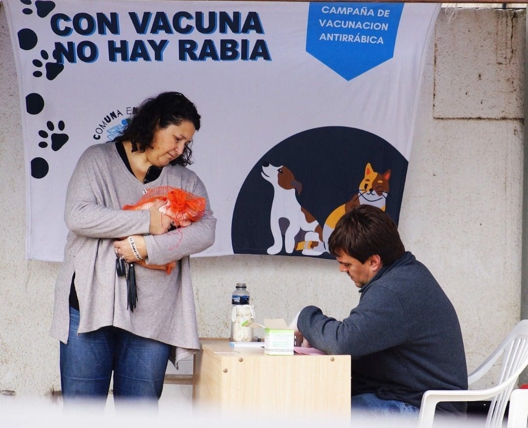 Gobierno de Santa Isabel y Acpic unen esfuerzos en nuevas jornadas de castración y vacunación antirrábica