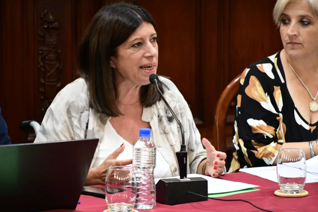 Clara García: La decisión de eliminar los subsidios nacionales al transporte es arbitraria e insensible, y perjudica a la gente