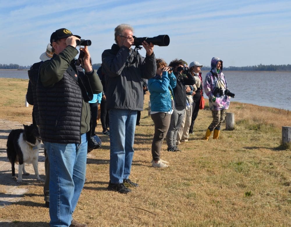 Villa Cañás: Nueva jornada de observación de aves en el Balneario Villa Cañás: Nueva jornada de observación de aves en el Balneario