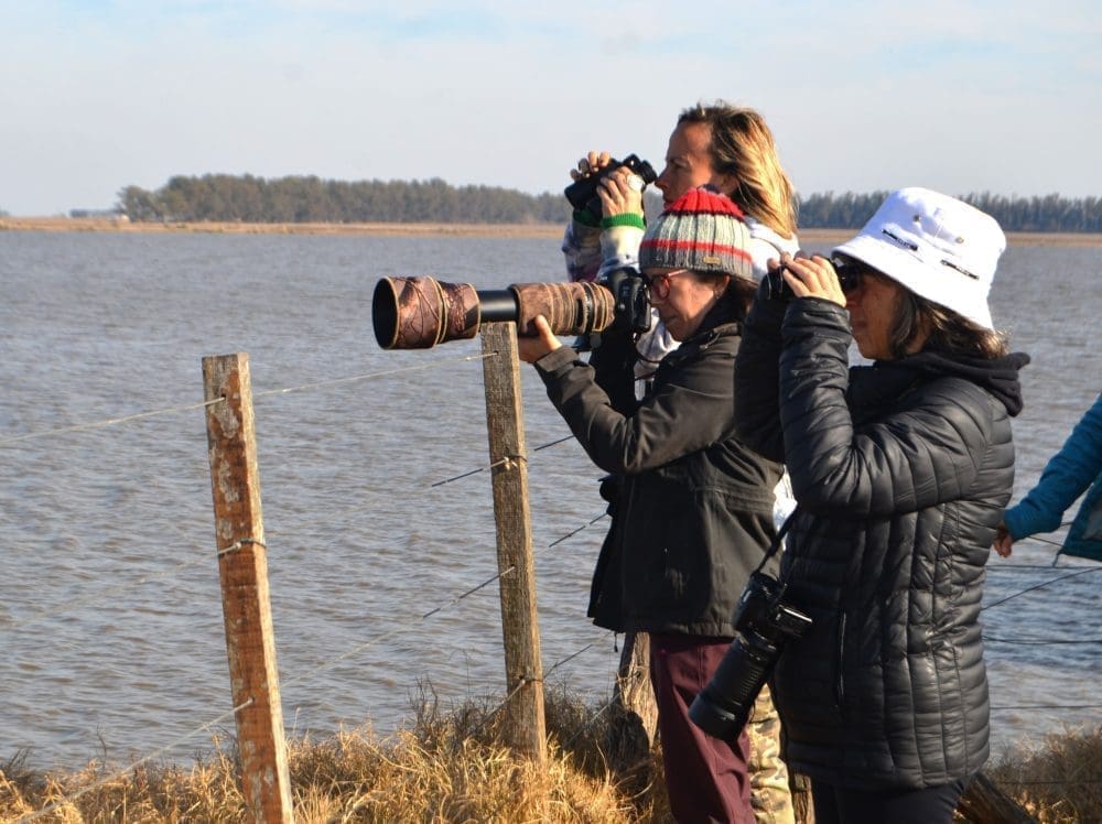 Villa Cañás: Nueva jornada de observación de aves en el Balneario Villa Cañás: Nueva jornada de observación de aves en el Balneario